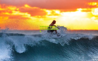 铁锤帮锋线补强遇阻 阿瑙托维奇回归之路荆棘密布