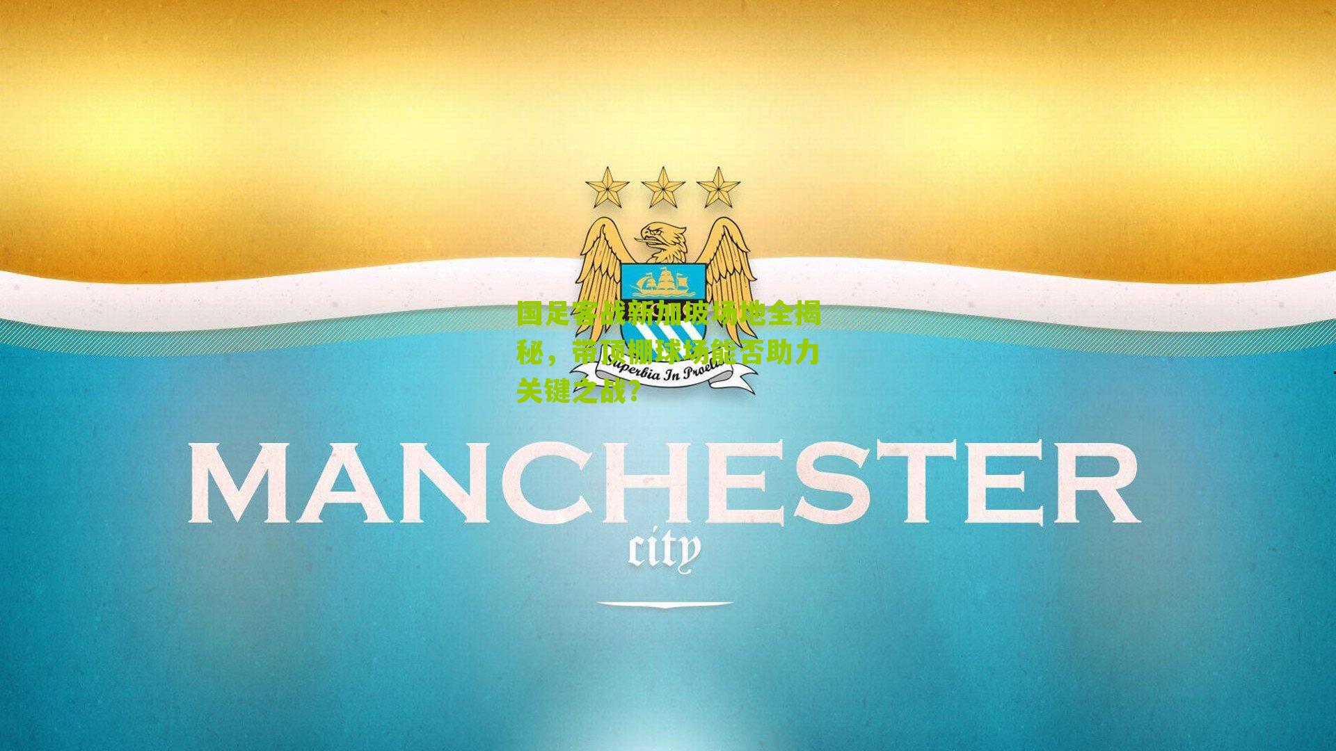 国足客战新加坡场地全揭秘，带顶棚球场能否助力关键之战？-第3张图片-开云官网首页-足球篮球直播平台